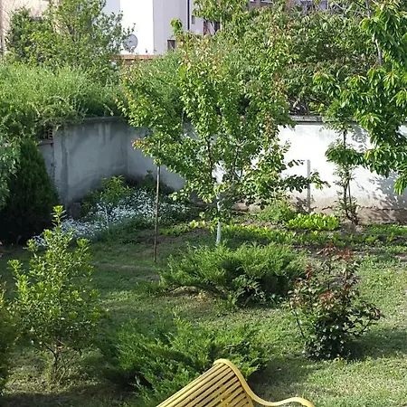Sunny House